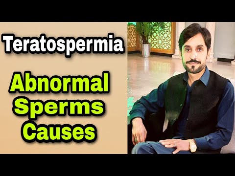 Teratospermia | Teratozoospermia | Causes | Diagnosis | Treatment