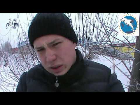 Отчет Фонда ГБН, декабрь 2016 январь 2017г