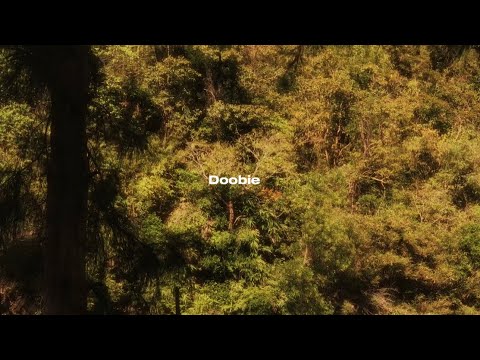 Bad Dawgs - Doobie Feat. Jaydee, Lil Cb & Gxus (Officials Visualizer)