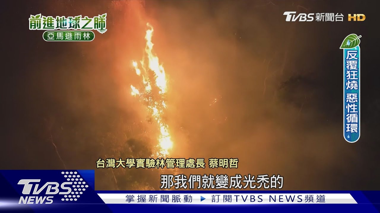 人為點燃+暖化助長 巴西雨林野火反覆狂燒!年燬「2個台灣」面積