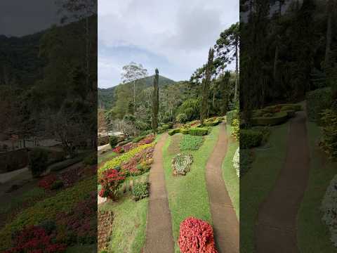 Jardim dos Pinhais Ecco Parque - Santo Antônio do Pinhal