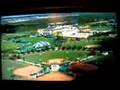 Disney 365