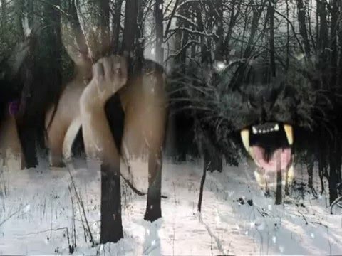 Imala si 18 ljeta - Dorotić Band