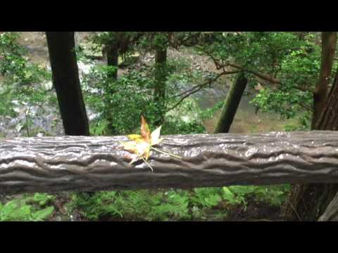 Travel video | Osaka : Minoh