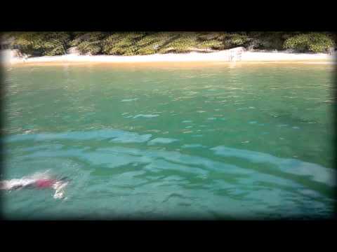 Paraty RJ - ilha dos pelados - Praia da Lula