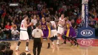 New York Knicks - Carmelo Anthony - Lou Amundson