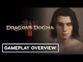 Dragon's Dogma 2 - Vocation & Character Creation Overview