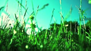 Holiday Parade - &quot;My Philosophy&quot;