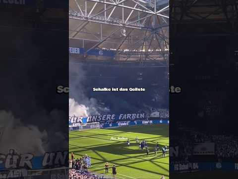 Schalke 04! Schalke ist das Geilste auf der Welt! Fangesang Edit mit Text! 🔵⚪💪 #s04