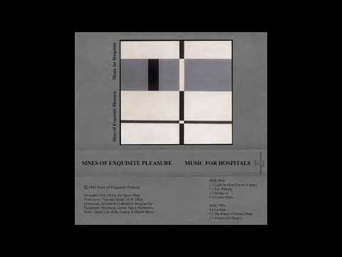 Sines Of Exquisite Pleasure - Music for Hospitals