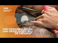 Toch geknipt aan het kerstdiner? Kapper komt met 'haarhulp' op afstand