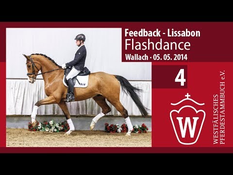 04 Flashdance Wallach v. Feedback - Lissabon