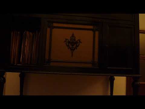 Golden Gate orchestra - Stepping in Society - 1925