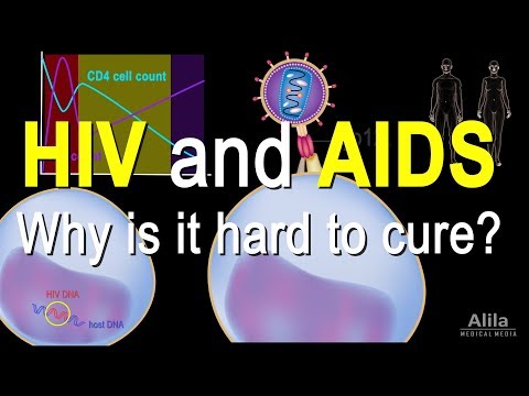 Infectious Diseases Overview Animation