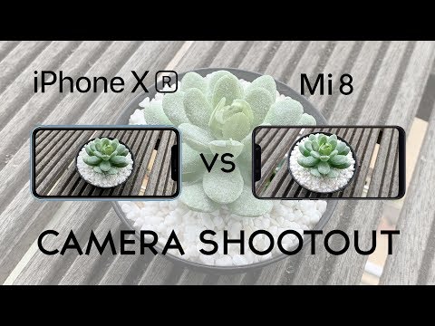 iPhone Xr vs Xiaomi Mi 8: Camera Shootout