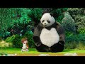 Breathing Stillwater Shorts