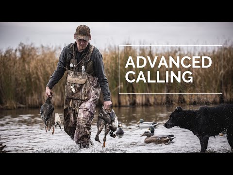 Using Advanced Duck Calling (Part 2) | Ten Minute Tuesday