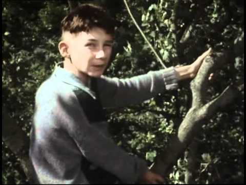 The Singing Detective - When I Grow Up