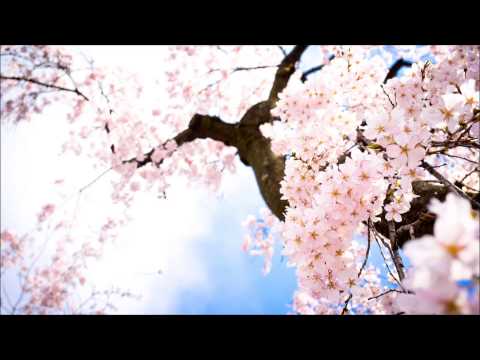 Lion's Heart Productions - Sakura