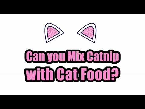 Can you Mix Catnip with Cat Food?