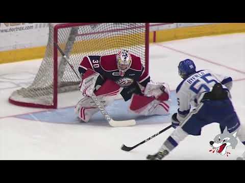 Wolves highlights of 2018