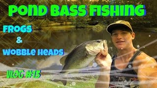 Pond Bass Fishing Tips ~ Topwater Frogs & Wobble Heads Vlog #13