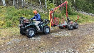 بيتش باجي Yamaha Grizzly 450 | صورة 4 - Autoline