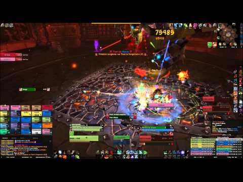 CrazyHorde EU Ysondre - Thok 25 HM