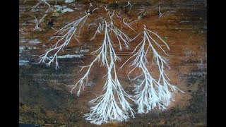 Close All Loops | Deep Code Experiment: Episode 16