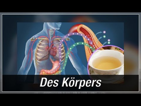 Drogenkonsum bei Diabetes mellitus Sie können schwanger Diabetiker erhalten