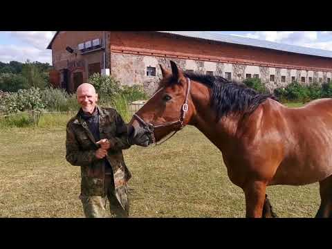 BRÜDER ÜBER STOCK UND STEIN.