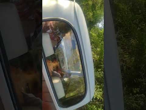 VIAJANDO EN LA  ARGENTA DEL  61 DE ROLON POR ARROYO DE LOS PATOS CORDOBA TRASLASIERRA 