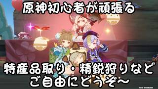 スネの探索【原神】