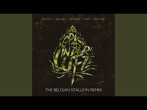 Gras in der Luft (The Belgian Stallion Remix)