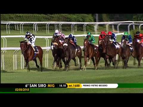 2018.09.02 Premio Pietro Bessero (ITA) - Musa D'oriente