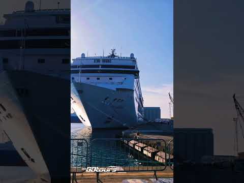 Thumbnail for Our team had an amazing time visiting MSC Armonia today 🛳️⚓ Cruises Official