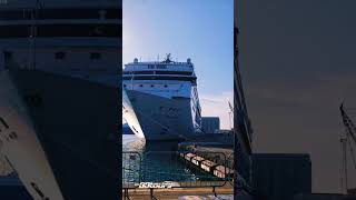 Our team had an amazing time visiting MSC Armonia today 🛳️⚓ Cruises Official