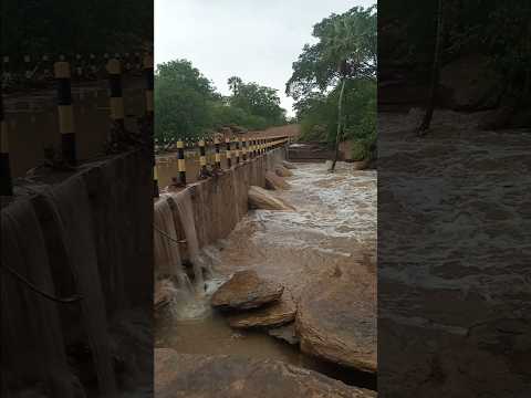 Chuva torrencial de 85 mm 5 fevereiro 2026 Sigefredo Pacheco PI