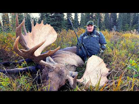 Hunting Giant Moose in Remote Alaska (2025 DIY B&C)