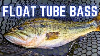 Catching HUGE Bass From A Float Tube with the RIGHT Flies