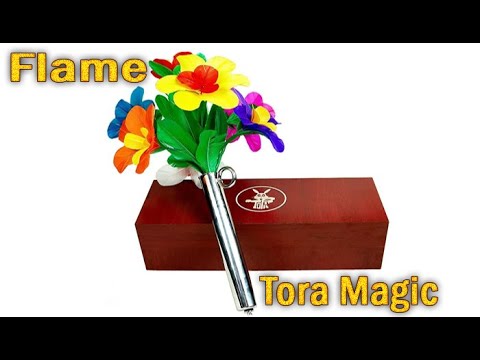 Voir la vidéo Flame - Tora Magic