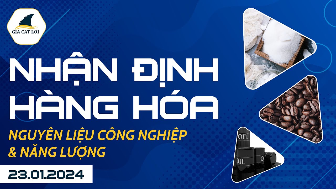 Nhận Định Hàng Hoá Năng Lượng & Nguyên Liệu Công Nghiệp Ngày 23/01/2024