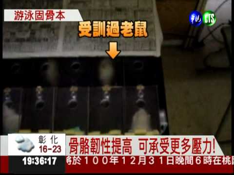 不只有益心肺! 游泳還能防骨折