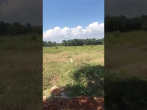 Siêu Phầm cho nhà đầu tư, Đất TC. MT QL 55 tại Huyện Xuyên Mộc. LH: 0902651012