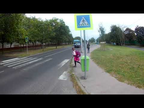 [LOV-856] MAJDNEM ELÜTI A BUSZ A ZEBRÁN A SZABÁLYOSAN ÁTKELŐ GYEREKET!