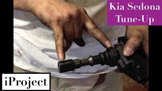 Kia Sedona Spark Plugs