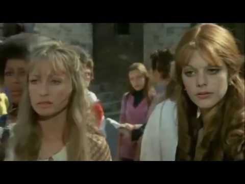 GialloMusica loves Torso