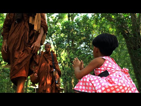 Mindfulness for Beginners (Eng)|206|Ven H DhammaKusala Thero|2025-12-20