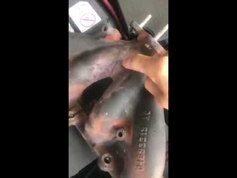 2014 Jeep Patriot Exhaust Manifold install