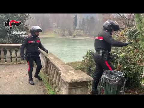 Torino, aggredisce e rapina una giovane nel Parco del Valentino: arrestato 21enne